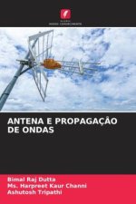 ANTENA E PROPAGAÇ?O DE ONDAS