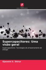 Supercapacitores: Uma vis?o geral