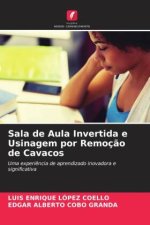 Sala de Aula Invertida e Usinagem por Remoç?o de Cavacos