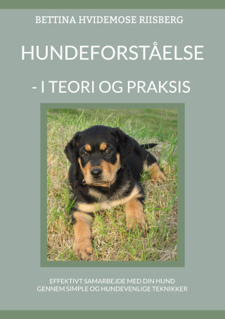 Hundeforst?else