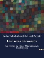 Les Fr?res Karamazov