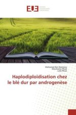 Haplodiplo?disation chez le blé dur par androgen?se