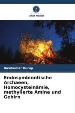 Endosymbiontische Archaeen, Homocysteinämie, methylierte Amine und Gehirn