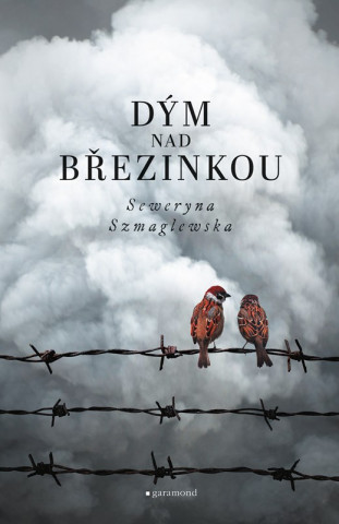 Dďż˝m nad Bďż˝ezinkou