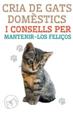 Cria de Gats Dom?stics i Consells per Mantenir-los Feliços