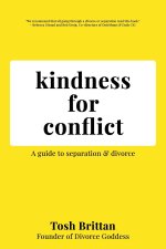 Kindness for Conflict - A Guide to Separation & Divorce: Your divorce is about YOU, not your Ex.
