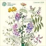 Royal Botanic Garden Edinburgh Wall Calendar 2024 (Art Calendar)