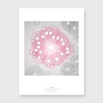LAMINA AMOR (30X40)