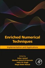 Enriched Numerical Techniques