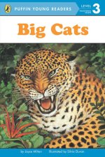 BIG CATS LEVEL 3