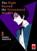 NIGHT BEYOND THE TRICORNERED WINDOW 03
