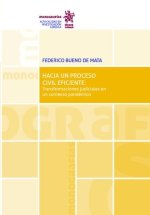 HACIA UN PROCESO CIVIL EFICIENTE TRANSFORMACIONES JUDICIALE
