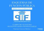 Esquemas de función pública