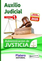 AUXILIO JUDICIAL DE LA ADMINISTRACION DE JUSTICIA. TEMARIO.