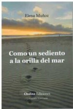 COMO UN SEDIENTO A LA ORILLA DEL MAR