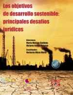 OBJETIVOS DESARROLLO SOSTENIBLE PRINCIPAL