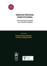 Derecho Procesal Constitucional