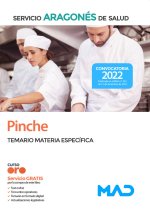 PINCHE SERVICIO ARAGON SALUD TEMARIO