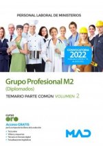 PERSONAL LABORAL MINISTERIOS GRUPO PROFESIONAL M2 (DIPLOM