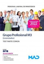 PERSONAL LABORAL MINISTERIOS GRUPO PROFESIONAL M3 (LICENC