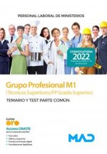 PERSONAL LABORAL MINISTERIOS GRUPO PROFESIONAL M1 (TECNIC