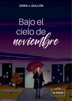 Bajo el cielo de noviembre