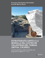 ESTRATIGRAFIA JUNTO A LA MURALLA DEL CASTRO DE VILLASVIEJAS