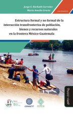 ESTRUCTURA FORMAL Y NO FORMAL DE LA INTERACCION TRANSFRONTER