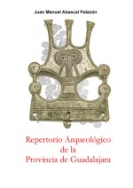 Repertorio Arqueológico de la provincia de Guadalajara