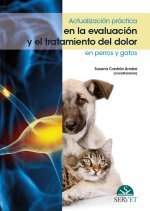 ACTUALIZACION PRACTICA EN LA EVALUACION Y EL TRATAMIENTO DEL