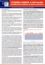 ECONOMIA E ENERXIA O CASO GALEGO