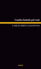 Cendra batuda pel vent