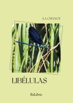 LIBELULAS