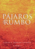 Pájaros sin rumbo