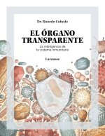 EL ORGANO TRANSPARENTE LA INTELIGENCIA DE TU SISTEMA INMUNI