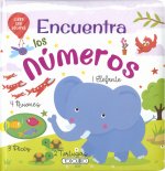 ENCUENTRA LOS NUMEROS