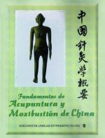 Fundamentos de Acupuntura y Maxibustión en China