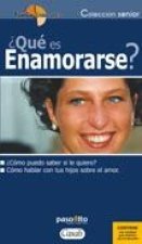 DVD QUE ES ENAMORARSE