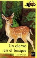 UN CIERVO EN EL BOSQUE