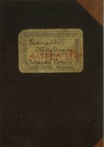 FEDERACION METALURGICA 1917-1920 ACTAS DEL COMITE TOMO 2