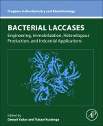 Bacterial Laccases