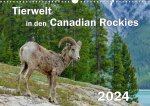 Tierwelt in den Canadian Rockies (Wandkalender 2024 DIN A3 quer)