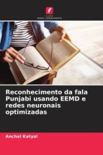 Reconhecimento da fala Punjabi usando EEMD e redes neuronais optimizadas