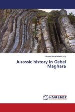 Jurassic history in Gebel Maghara