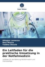 Ein Leitfaden für die praktische Umsetzung in der Notfallmedizin