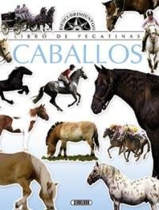 CABALLOS