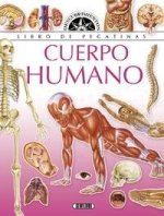 CUERPO HUMANO