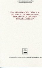 UNA APROXIMACION CRITICA AL ESTUDIO DE LOS PRINCIPIOS DEL PR
