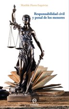 Responsabilidad civil y penal de los menores