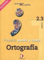 Aprende y practica, punto y coma, ortografía, 2.3. Libro profesor